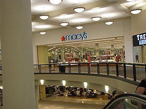 Macy's Interior Entrance in the Macon Mall