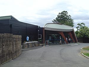 New Zealand Centre for Conservation Medicine
