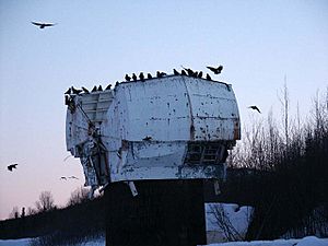 Old NIKE Missile radar dome with ravens