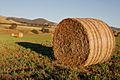 Round hay bale at dawn02