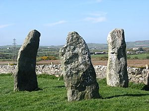 The Llanfechell Triangle - geograph.org.uk - 1260817