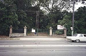 1379 - Yasmar - original gates and section of palisade fence as seen from Parramatta Road with garden beyond. (5045179b1)