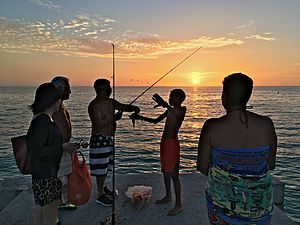 2017 Sarasota Cortez Beach Angling at Sunset at the Sea Wall 4 FRD 7164