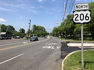 2018-05-29 13 47 37 View north along U.S. Route 206 and Somerset County Route 533 at Somerset County Route 518 (Georgetown-Franklin Turnpike) in Montgomery Township, Somerset County, New Jersey