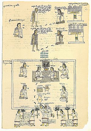 Codex Mendoza folio 61r