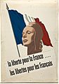 INF3-304 Unity of Strength La liberté pour la France, les libertés pour les Français