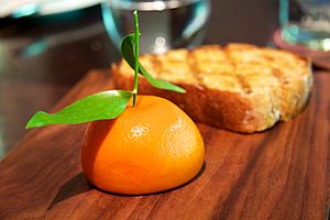 Meat Fruit at Dinner by Heston