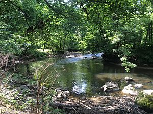 Pennypack Creek from Pennypack Trail in Pennypack Park