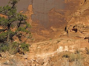 Petroglyphs, Potash Road, near Moab, Utah