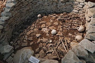 Restitution of a burial chamber of the Bougon necropolis