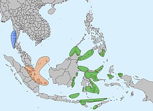 Sea Nomads distribution map