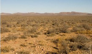 Sengi-landscape Nama Karoo