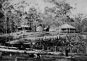 StateLibQld 1 116732 Early view of Rainworth homestead and outbuildings, Torwood, ca. 1875