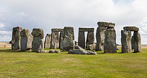 Stonehenge, Condado de Wiltshire, Inglaterra, 2014-08-12, DD 18