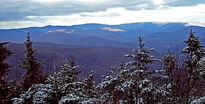 View northeast from Panther summit, Catskills