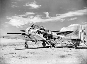 Wrecked Breda Ba.65 1940