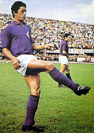 AC Fiorentina - Amarildo Tavares da Silveira