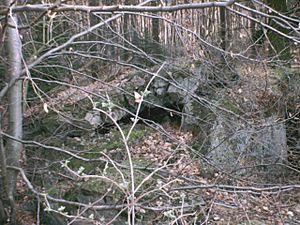 Bienwald Bunker