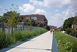 Bloomingdale Trail, the 606, Chicago 2015-33