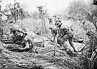 Commandos from the Australian 2-3rd Independent Company take up positions in weapon pits during an attack on Timbered Knoll, north of Orodubi (between Mubo and Salamaua), New Guinea