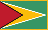 Flag of Guyana (fringed)