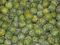 Greengages 0
