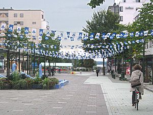 Sibeliuksenkatu (Sibelius' street)