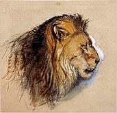 Lion's profile from life Ruskin