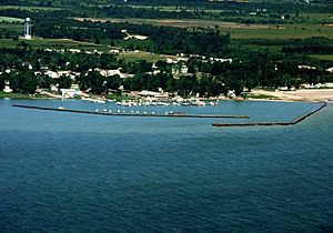 Port Sanilac Michigan aerial view