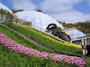 The Bee (Eden Project)