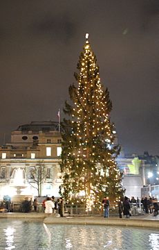 Trafalgar Square Christmas tree8