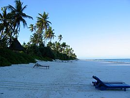 Zanzibar east coast pristine beach