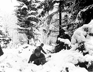American 290th Infantry Regiment infantrymen fighting in snow during the Battle of the Bulge