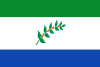 Flag of Briceño