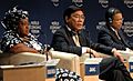 Jiang Jianqing, 2009 World Economic Forum on Africa