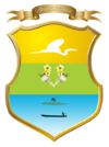 Official seal of Pijiño del Carmen