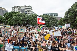 School Strike for Climate in Wellington 13