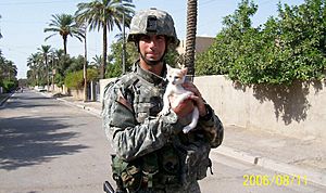 Tom Cotton holding a kitten