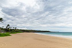 Hapuna beach Hilo Big island, Hawaii (45553509014)