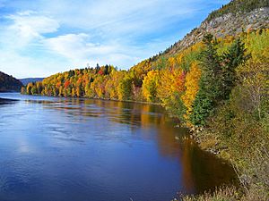 Nature's Autumn Palette on Newfoundland's Humber River in 2007