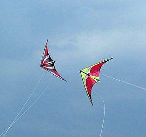 Pairs kites