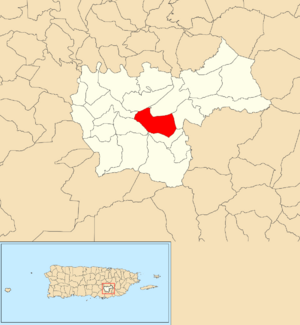 Location of Quebrada Arriba within the municipality of Cayey shown in red
