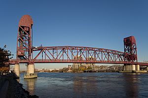Roosevelt Island Bridge from the south (41860).jpg