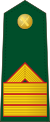 Spain-Civil Guard-OR-7.svg