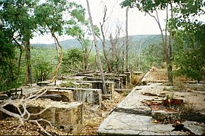 Thermo Electric Ore Reduction Corporation Mill (2003).jpg