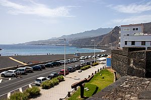 At La Palma 2020 031
