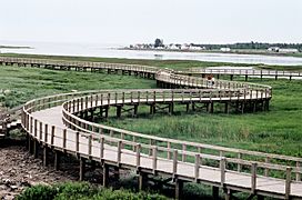 Boardwalk across the dunes in the Irving Eco-Centre