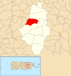Location of Cañabón within the municipality of Caguas shown in red