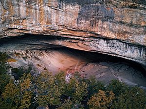 Cueva del Milodón (40194701312)