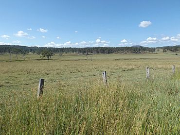 Fields at Oaky Creek, Queensland.jpg